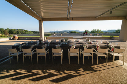 Degustazione in Cantina full